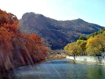 新澳天天开奖资料大全旅游团，黑防